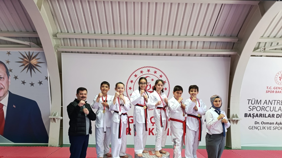 TAEKWONDO İL DERECELERİ